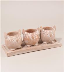 Bloempot  terracotta set 3 uilen